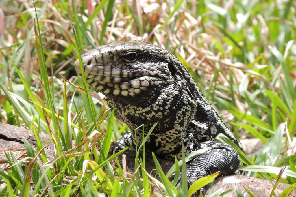 Pousada Villa Maria メーウ島 エクステリア 写真