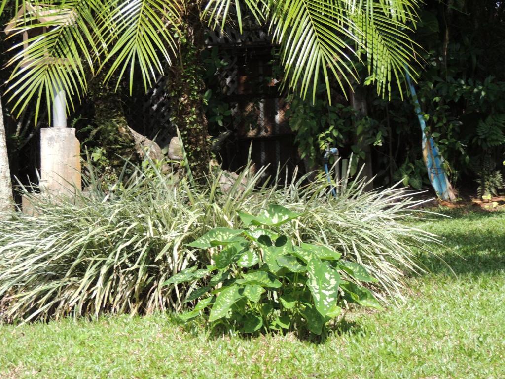 Pousada Villa Maria メーウ島 エクステリア 写真
